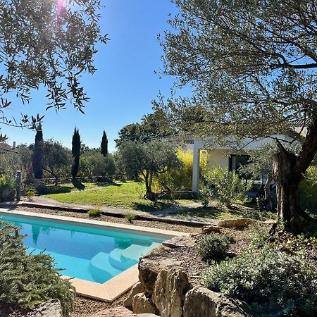 La Villa Aux Oliviers Flayosc Экстерьер фото